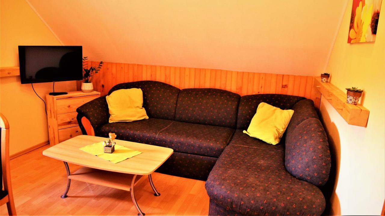 Apartment Rozika 슬로벤 그라데츠 외부 사진