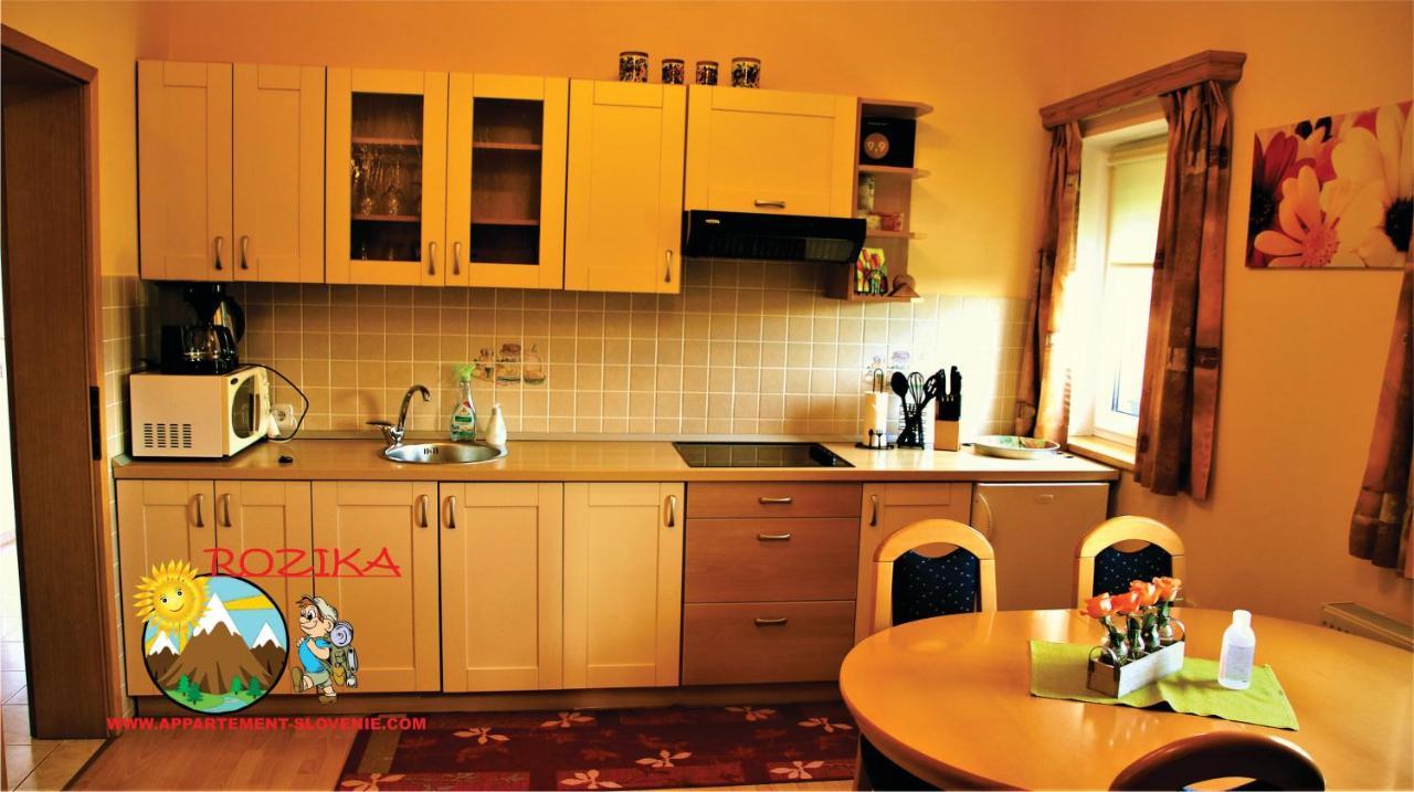 Apartment Rozika 슬로벤 그라데츠 외부 사진